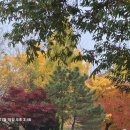 DMZ 평화의 길 34코스 이미지