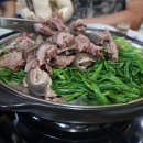 홍산흑염소 네이버블로그