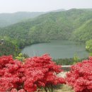 남천리 산촌체험마을 이미지