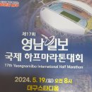 제17회영남일보국제마라톤대회 참가 결과확인 이미지