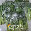 회원동262 | 맘앤맘마창원점-7월20일(화)이유식재료&amp;이유식