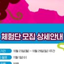 아빠하림치킨 이미지