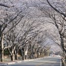 대궐 - 안양시 동안구 평촌대로223번길 16 | 대궐