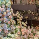 상록결혼정보 | 상록아트홀 그랜드볼룸홀 | 26년 27년 어두운 홀 견적 식대 공유