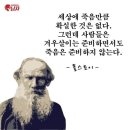 육식인생 이미지