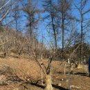 고삼농장 이미지