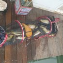 장자골낚시터 이미지