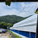 은행나무하우스낚시터 이미지