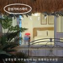 가평 감성 가비 스테이 이미지
