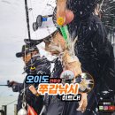 서해환경노동조합 | 서해 배낚시 오이도 쭈꾸미 갑오징어 낚시 철 초보 선상 예약 전투호 쭈갑낚시 조황 대박!