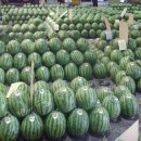 천지농산물 - 화성시 담밭성지길 118 | 천지농산물