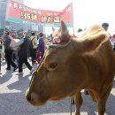 한뿔축산 이미지