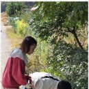 아이스타 태권도장 이미지