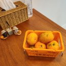 스테이 레헴 이미지