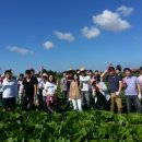 노력농장 이미지