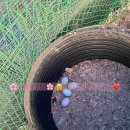 용원농장 이미지