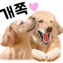 경원세탁소 이미지