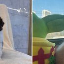 강아지분양 고양이분양 도그마루 무료 검단점 이미지