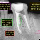 예성윤치과의원 이미지