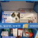 숲속노을 동물병원 이미지