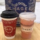 중국 베이징 여행 카페 장원영 밀크티 패왕차희 차지 CHAGEE 메뉴 후기