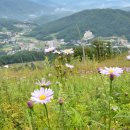 태기목장 이미지