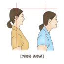 어베럴짐 이미지