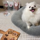 멍이부뚜막 이미지