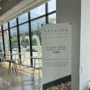caffe T(카페 티) 이미지