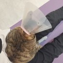 깜지미용실