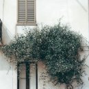 카페스크린 이미지