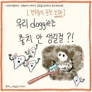 강아지 정보(충치/과일1) 45 이미지