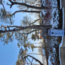 수원-0961 이미지