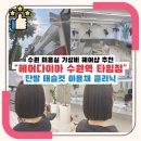 수원 미용실 가성비 헤어샵 추천 헤어다이아 수원역 타임점 단발 태슬컷 아윤채 클리닉
