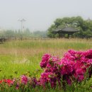 덕진-5 이미지
