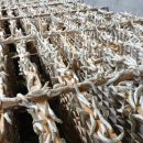 신영덕군 양잠영농조합법인