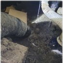 비전5로 이미지