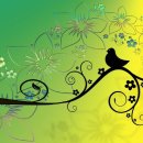 불행의 시작은 비교로부터 이미지