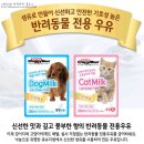 송이캣 이미지
