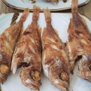 바다선장 이미지