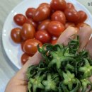 다송농장 이미지