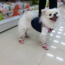 폴리파크 진평점 이미지