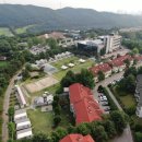 골드펫리조트 이미지