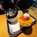 여긴 여름이야 거긴 어때?