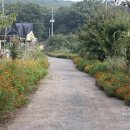 을축목장 이미지