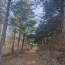 내촌면사무소 이미지