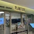 플랜-이 | 비건 레스토랑 '플랜튜드' 후기 : 야 너도 비건 할 수 있어