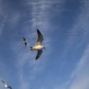 차만진가정의학과의원 이미지