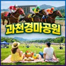 1-4호어린이공원 | 과천경마공원 솔직 후기, 데이트 코스로 이건 인정 | 포니랜드 추천!