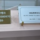 네일행복지수 이미지